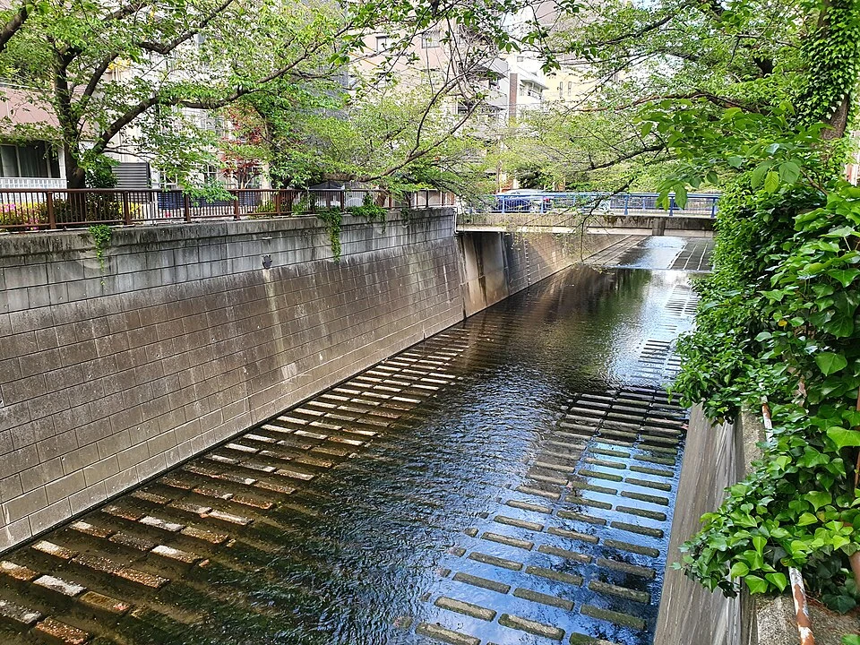 에비스·다이칸야마·나카메구로 산책 코스, 서점과 강변을 잇는 반나절 2 나카메구로 메구로강의 수로와 녹음이 있는 풍경